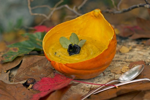 Fairy Tale Soup  toadstools pumpkin and magic