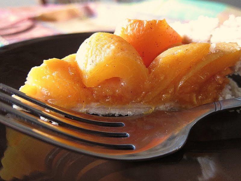 Apricot Tart