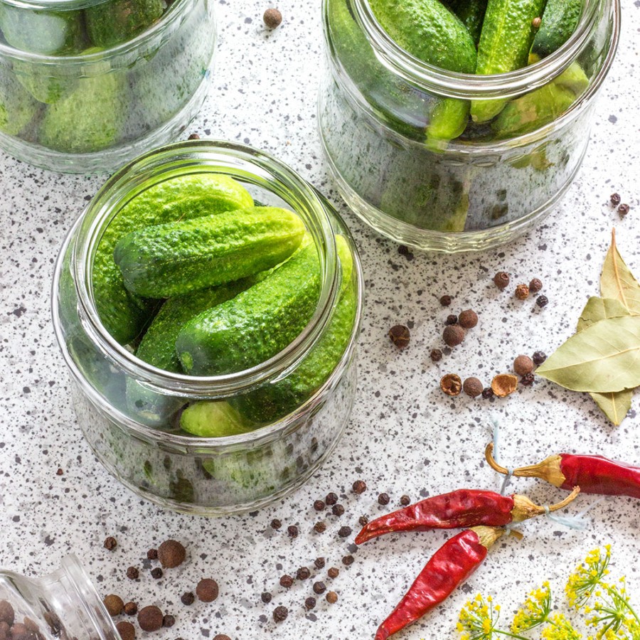 Spicy Sweet and Sour Dill Pickles