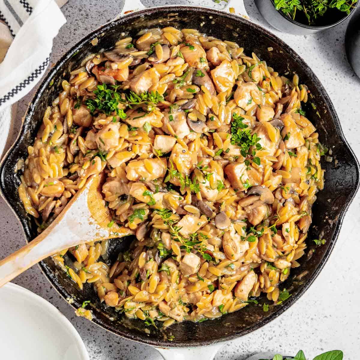 One Pot Creamy Chicken Mushroom Orzo