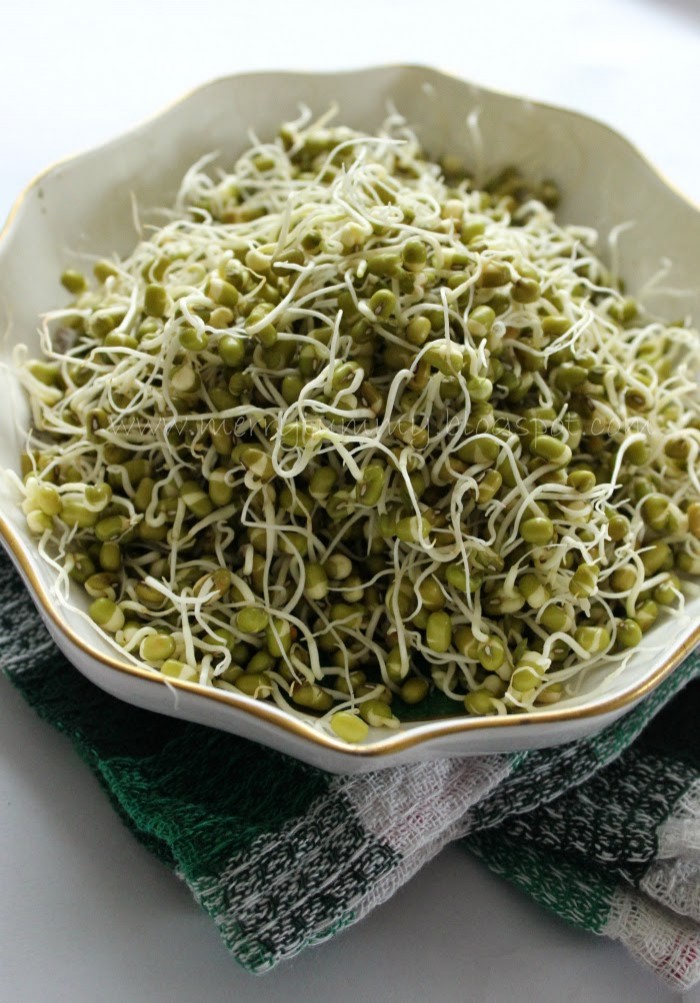 How to grow sprouts