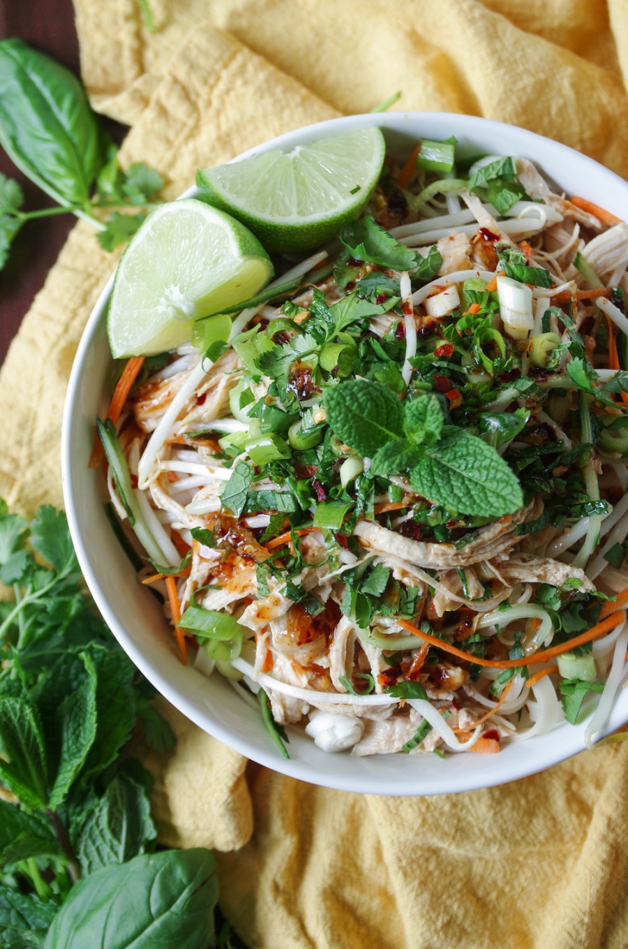 Cold Noodle Salad with Chicken and Sesame Dressing