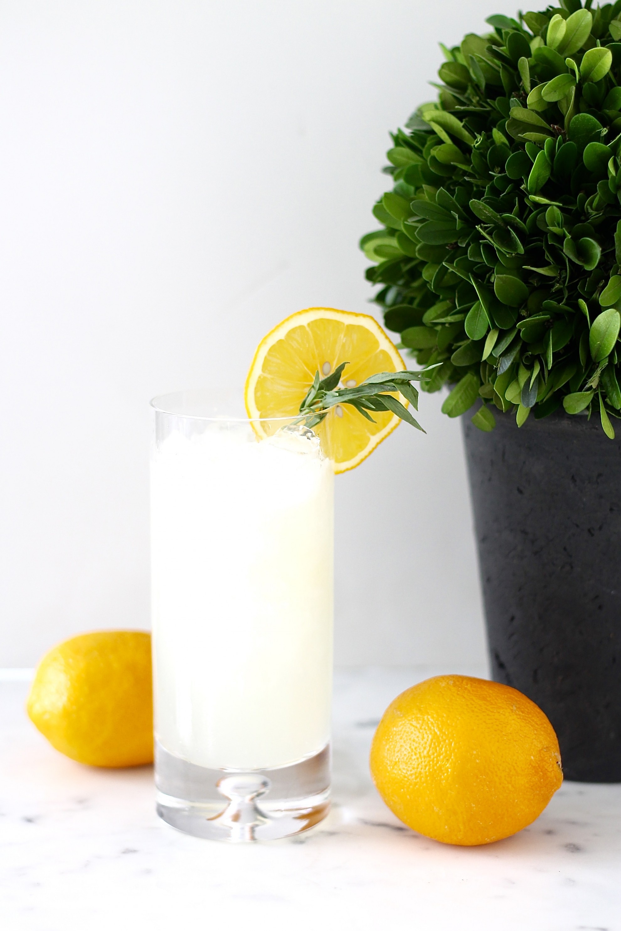 Meyer Lemon Collins