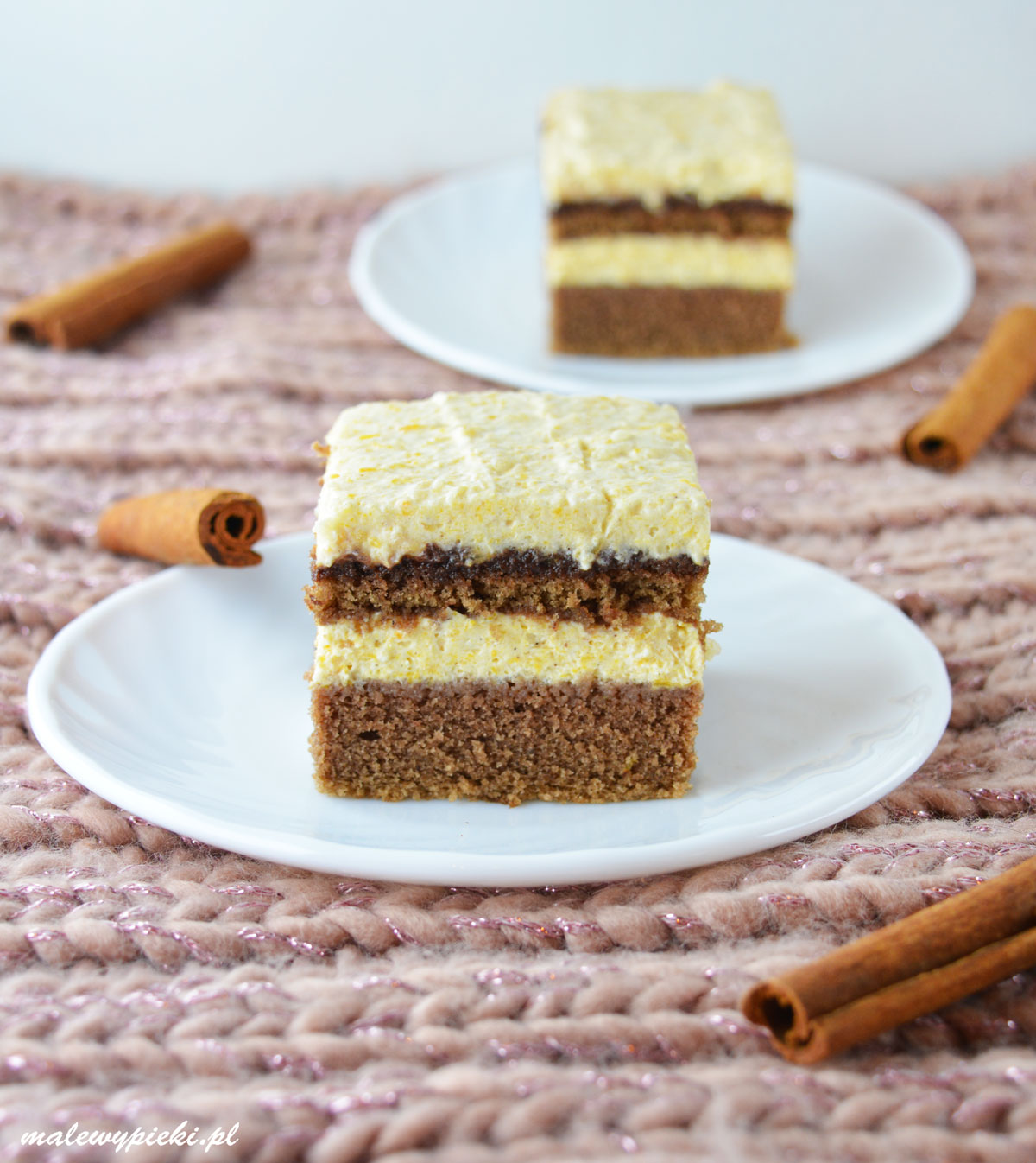 Gingerbread cake with pumpkin