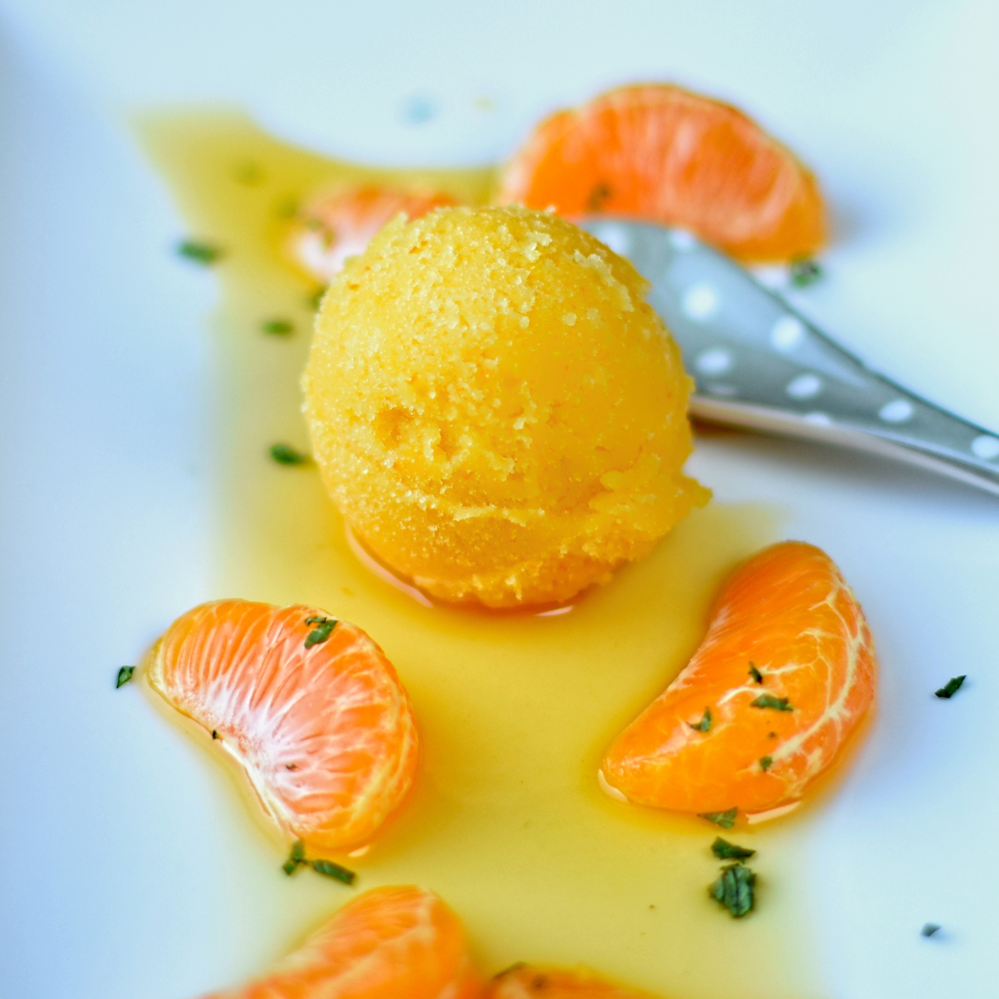 spiced clementines with clementine sorbet