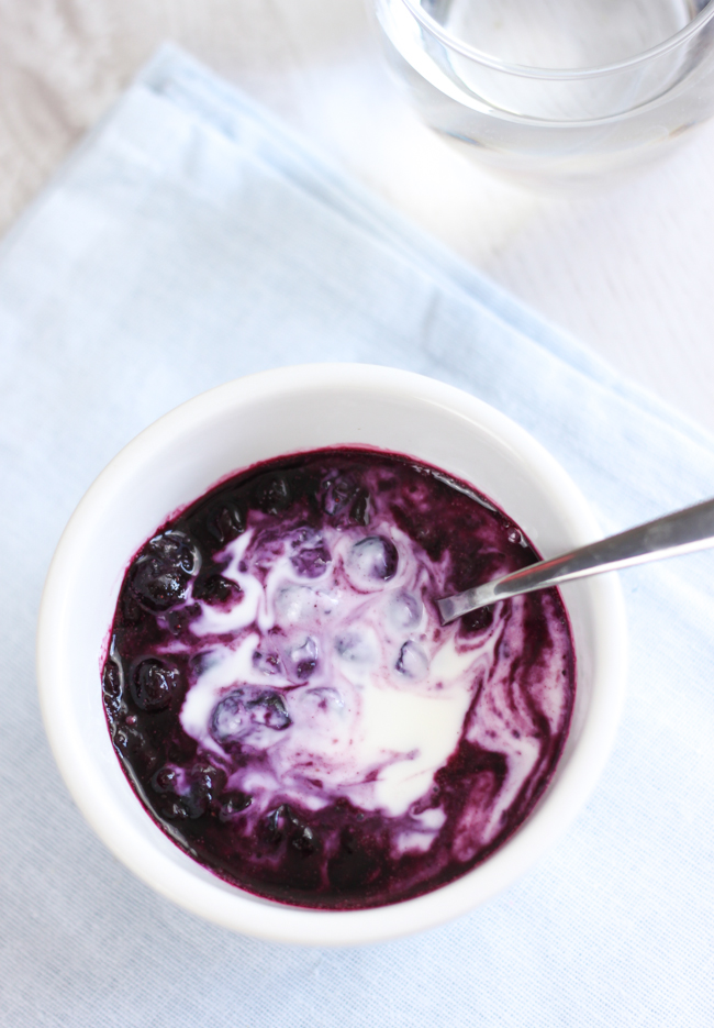 3 INGREDIENT BLUEBERRY SOUP