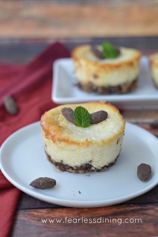 Peppermint Cheesecakes with Cocoa Nut Crust
