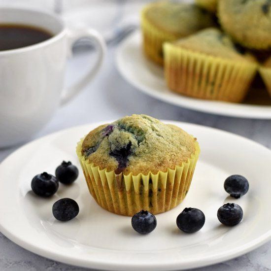 Easy Gluten Free Blueberry Muffins