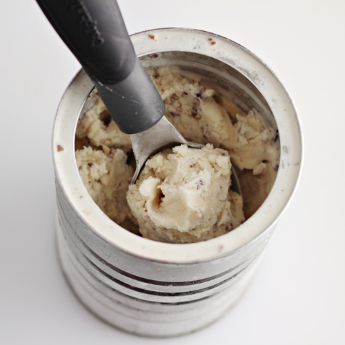 Homemade Ice Cream in a Can { Fun for Kids }