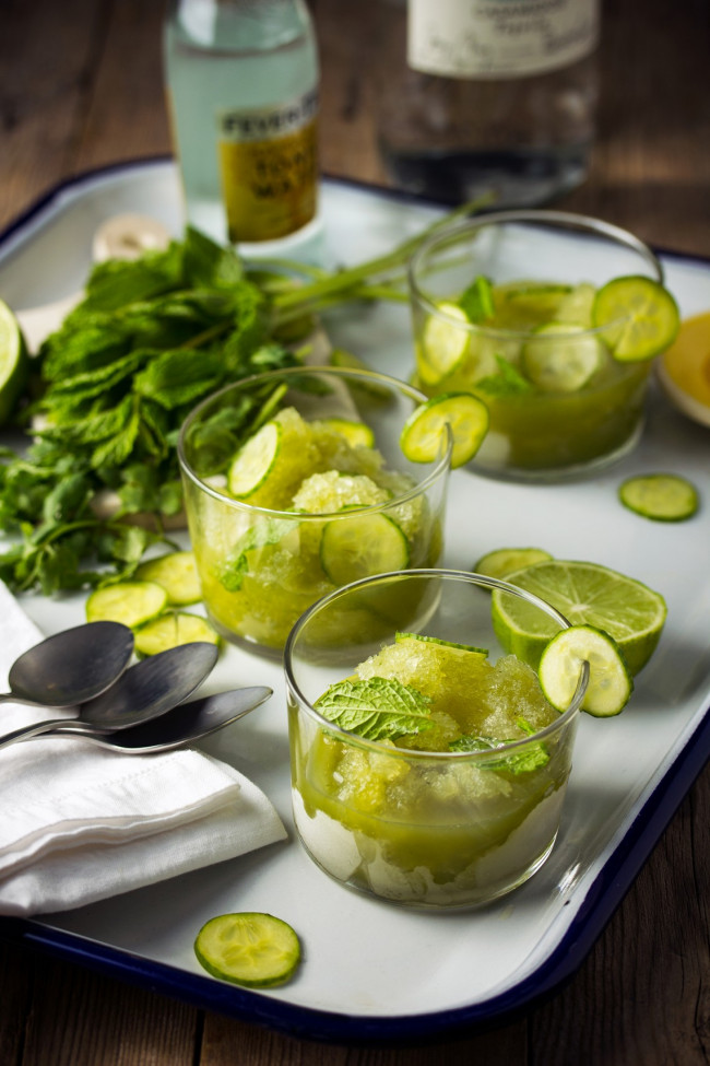 Cucumber-Mint Tequila and Tonic Scratch