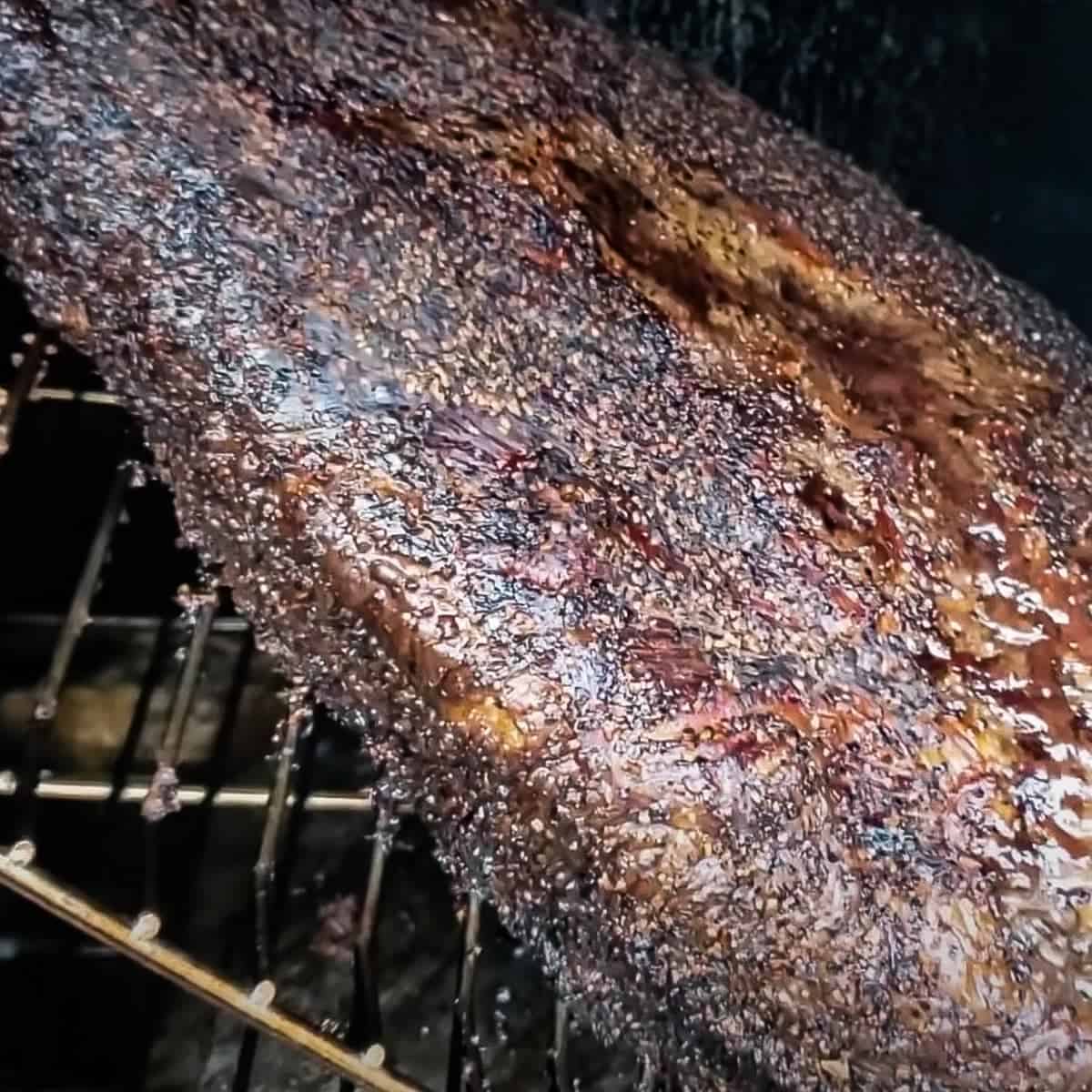 Smoked Beef Brisket in a Masterbuilt Electric Smoker