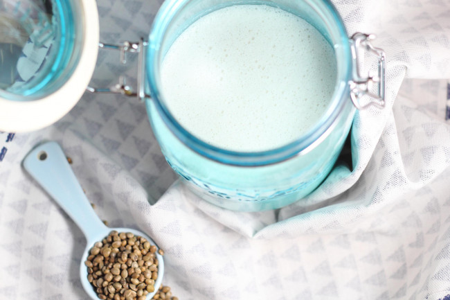 whole hemp seed milk recipe | vegan