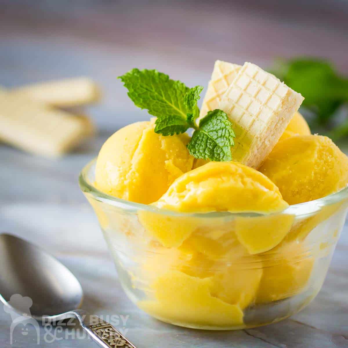 Mango Frozen Yogurt