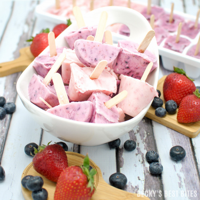 Mini Organic Frozen Yogurt Pops With Fresh Fruit