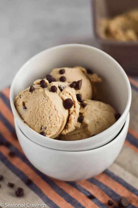 Coconut Espresso Chocolate Chip Ice Cream