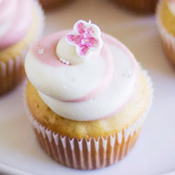 Lychee Swirl Cupcakes