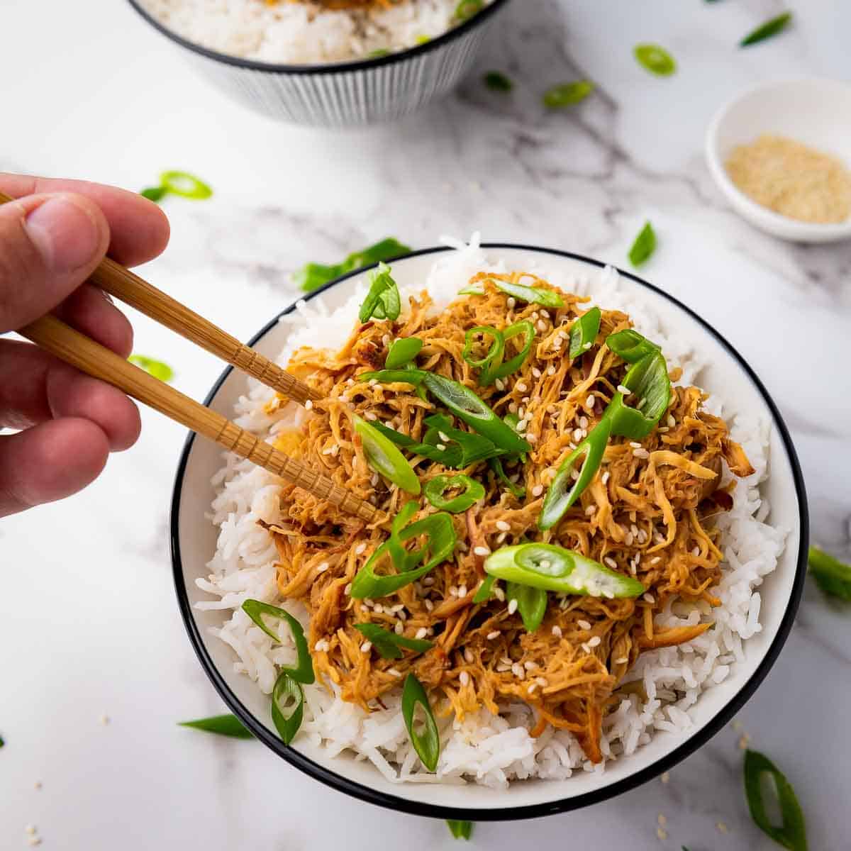 Slow Cooker Honey Soy Chicken With Garlic and Sesame