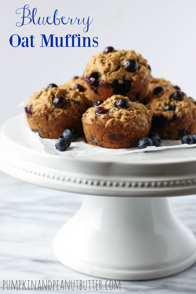 Blueberry Oat Muffins