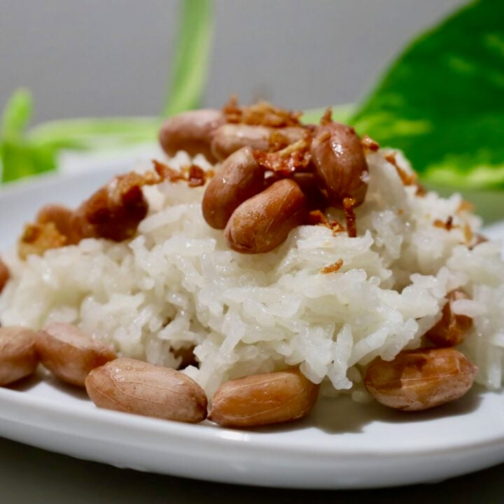 Peanut Sticky Rice Recipe (Xoi Dau Phong)