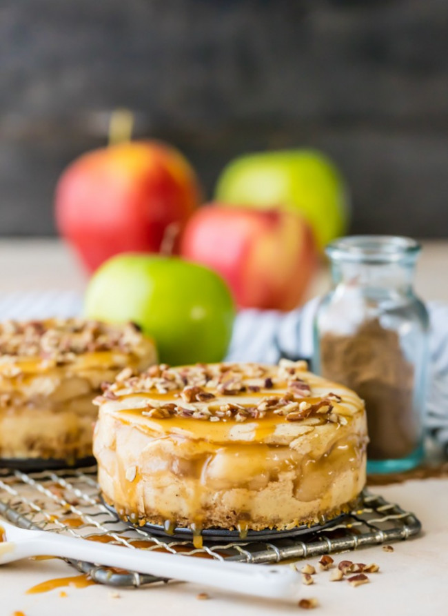 mini apple pie cheesecakes