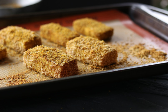 Garam Masala Crusted Tofu with Curry
