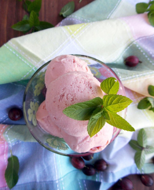 Gooseberry Mint Ice Cream