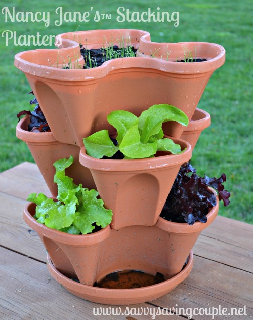 Nancy Jane Vertical Gardening Stacking Planters Review - Savvy Saving Couple