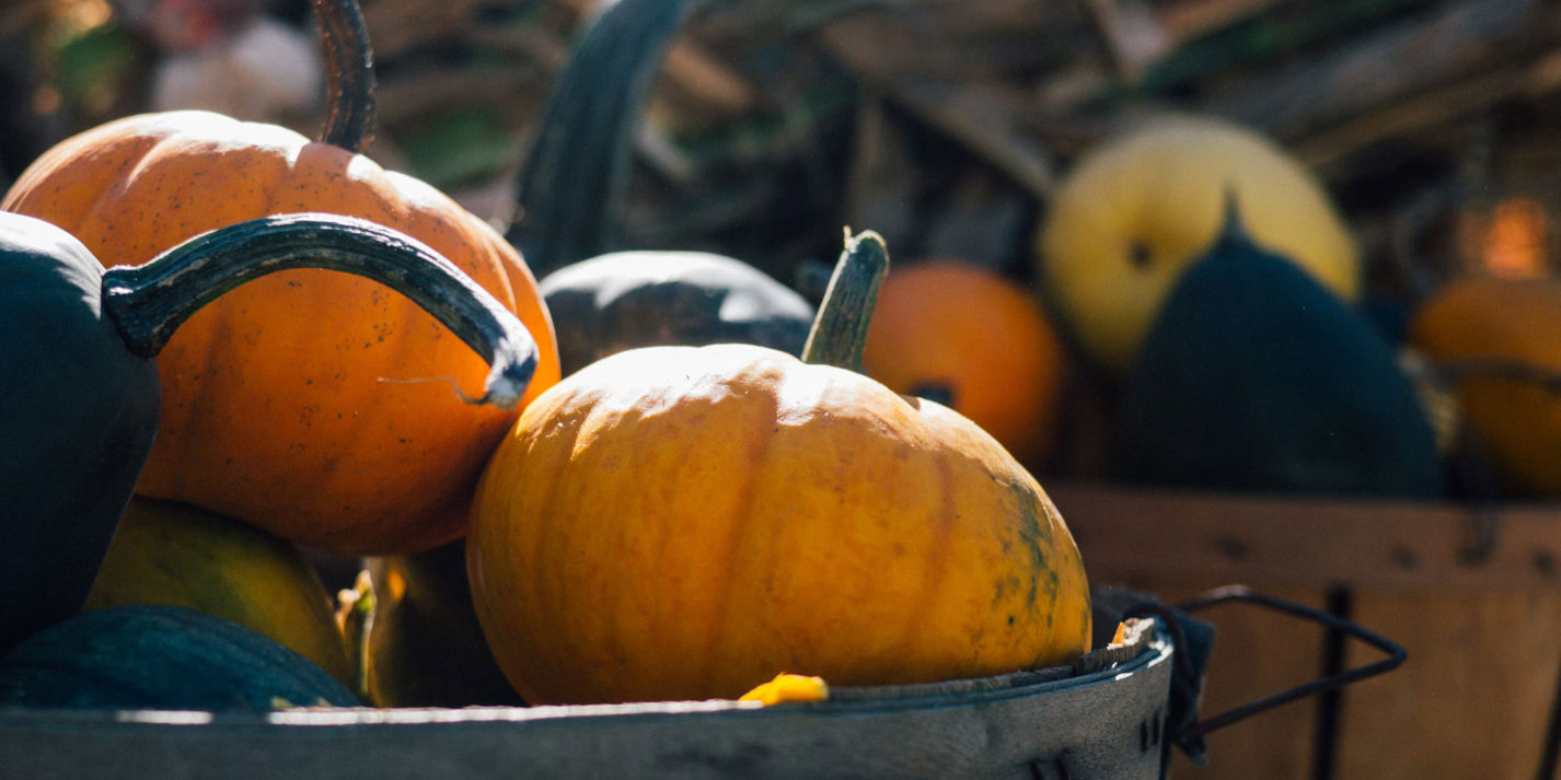 The History of Halloween Food: Why Do We Carve Pumpkins? Why Do People Go Trick Or Treating?