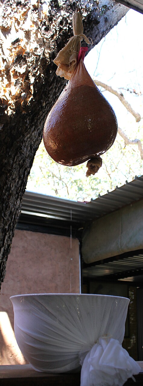 Fruit from an African Childhood