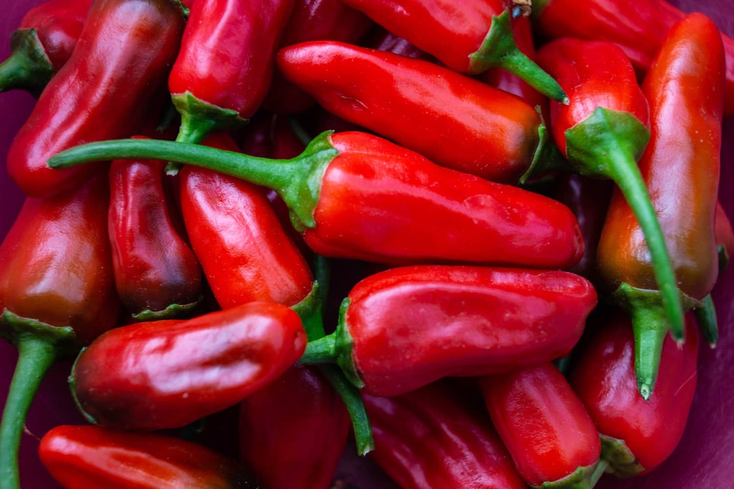Peri-Peri Pepper Guide: Heat, Flavor, Uses | PepperScale