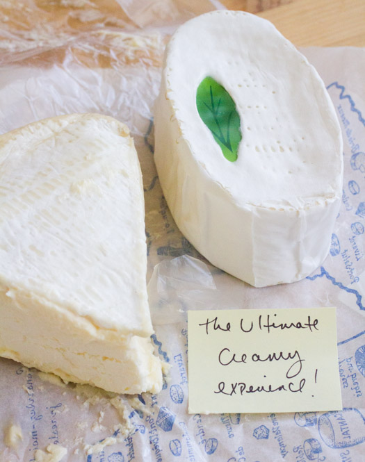 The Word on Curd: Four Insanely Creamy Soft Cheeses Worth a Mountain of Gold