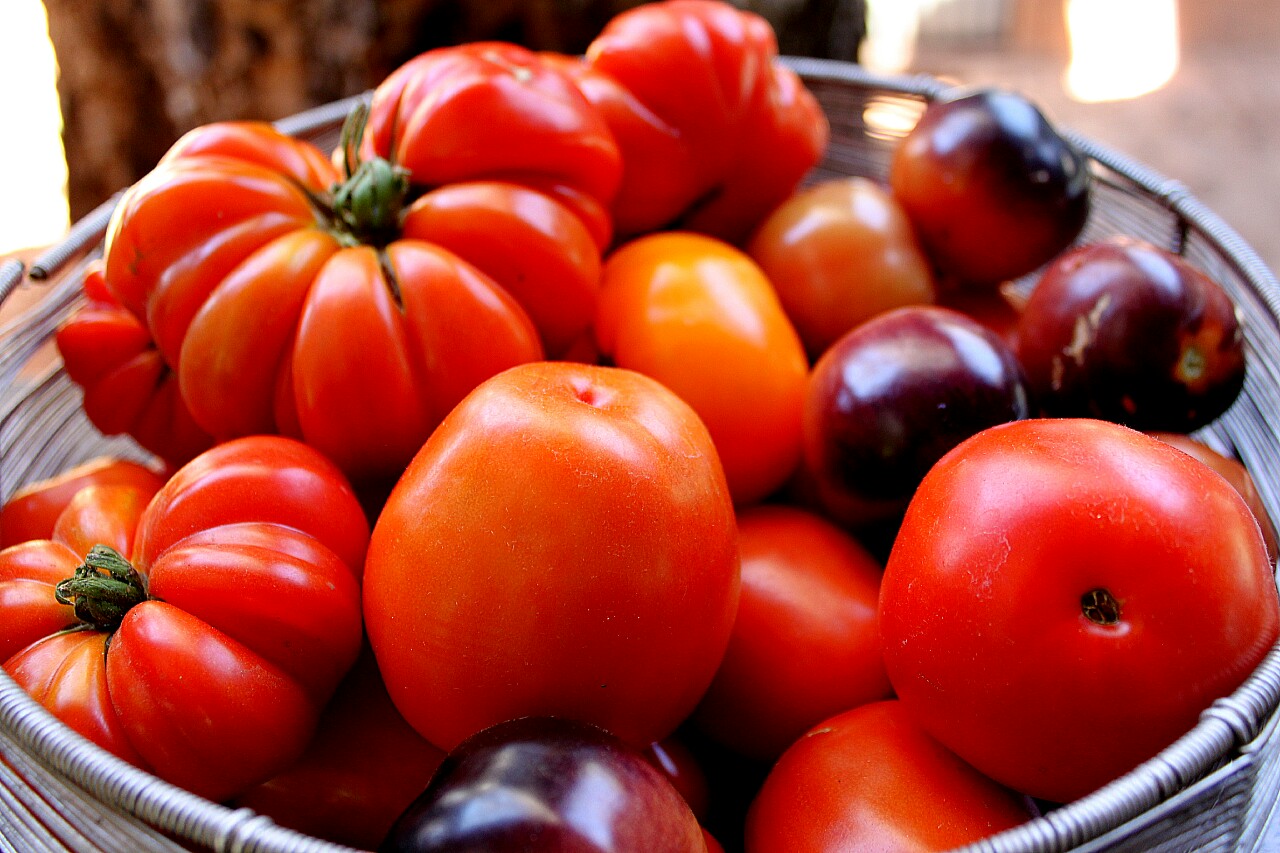 How Do I Love Thee … Tomato (Sauce)?