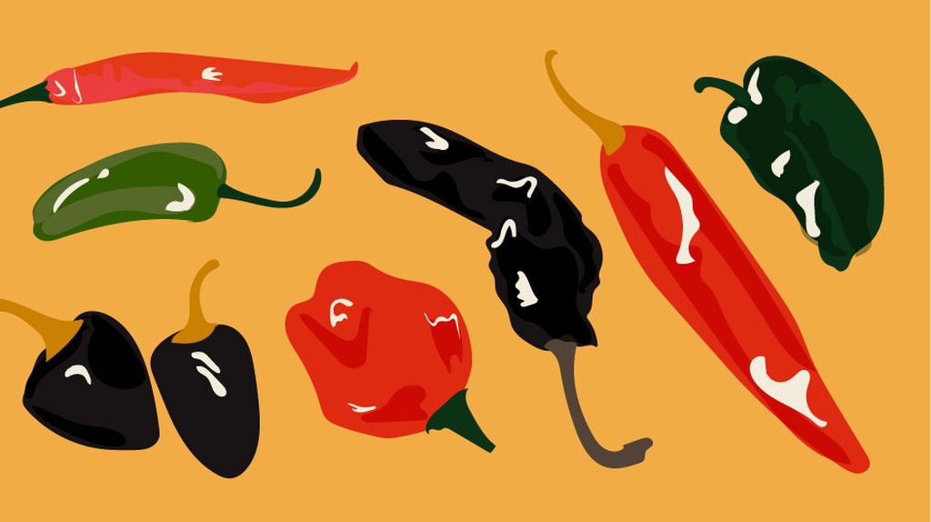 A Guide to Mexico's Most Essential Chillies