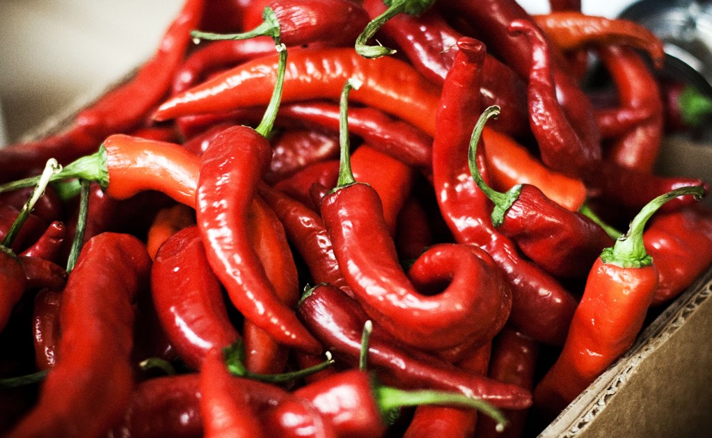The 7 most spicy Mexican chilies