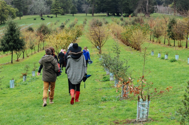 Truffle Hunting in Melbourne - Red Hill by Food Blogger Dancing Through SUnday