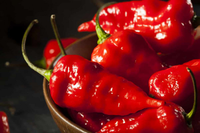 Hottest Peppers In The World 2020: Eating On The Edge | PepperScale