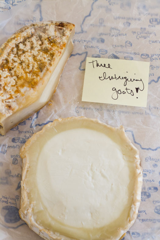 Three Intriguing Goat's Milk Cheeses