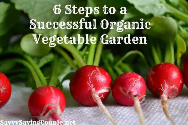 6 Steps to a Successful Organic Vegetable Garden - Savvy Saving Couple