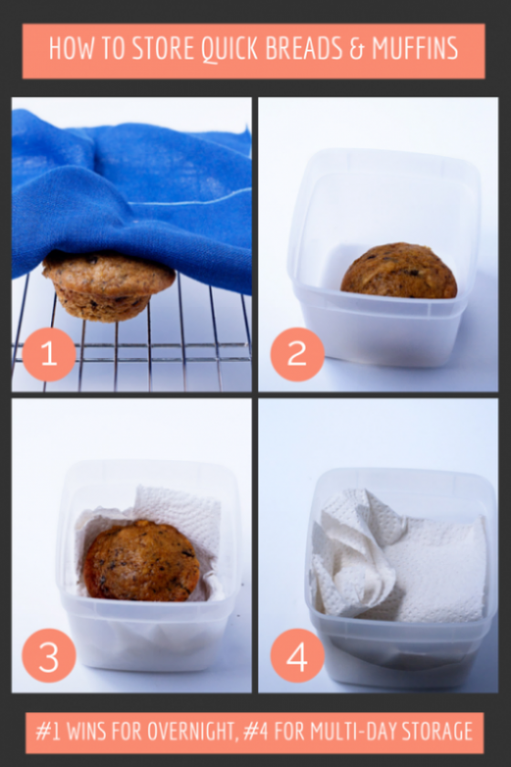 The Best Way to Store Muffins - Savvy Eats