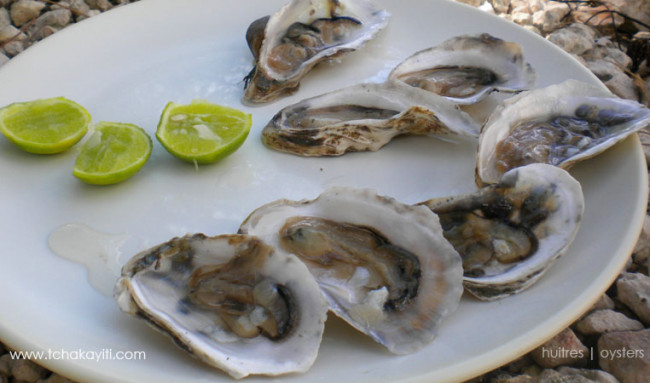 Fresh Raw Oysters
