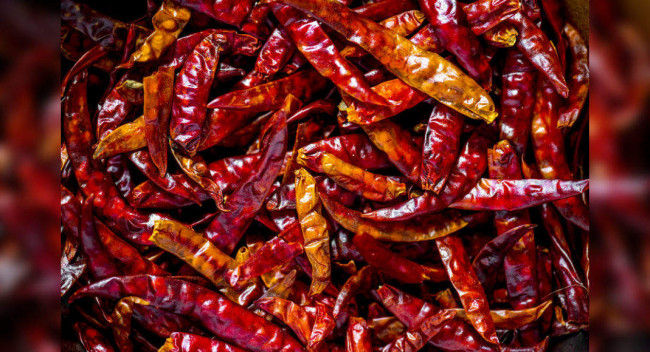 Exploring the many shades of chillies in India