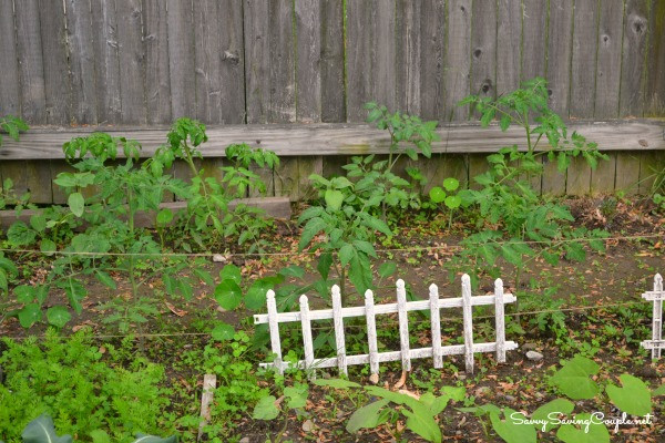 4 Easy Steps to Planning An Organic Garden - Savvy Saving Couple