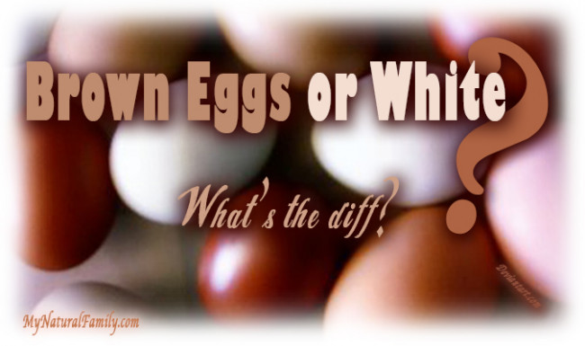Brown Eggs vs. White Eggs: What's the Diff?