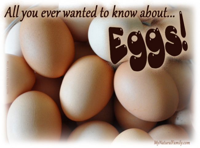 Fun Facts About Eggs