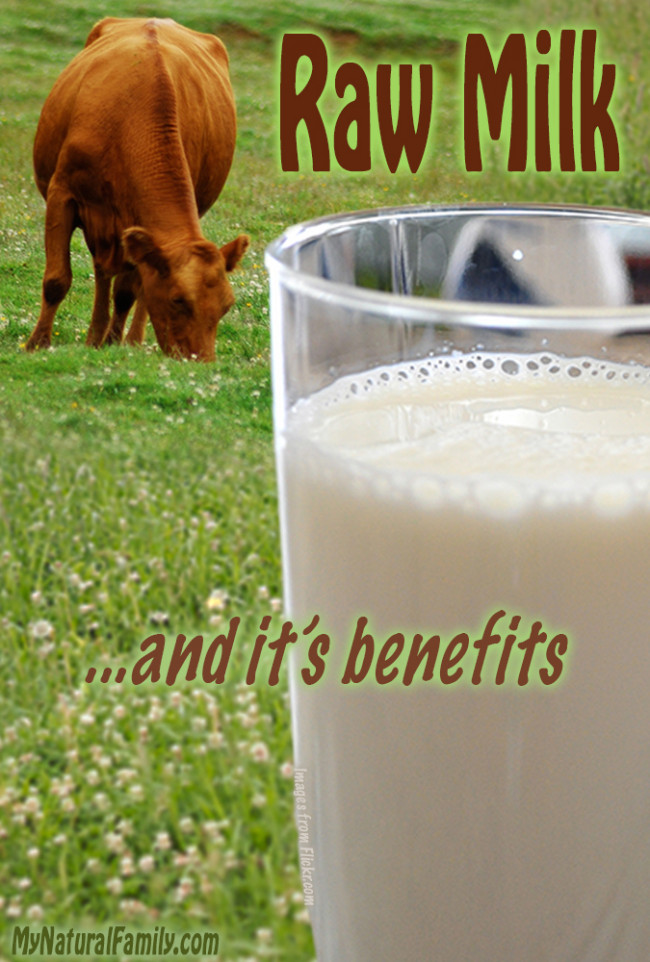 Raw Milk Benefits {Is Milk Paleo??