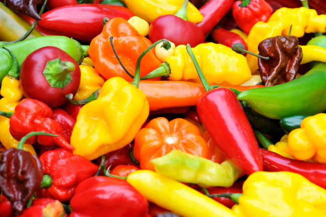 13 Essential Peppers You Should Know About