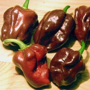 THE BIG LIST OF HOT PEPPERS - Cayenne Diane