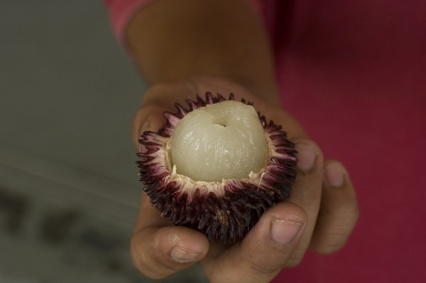 Weird fruit in Miri, Sarawak