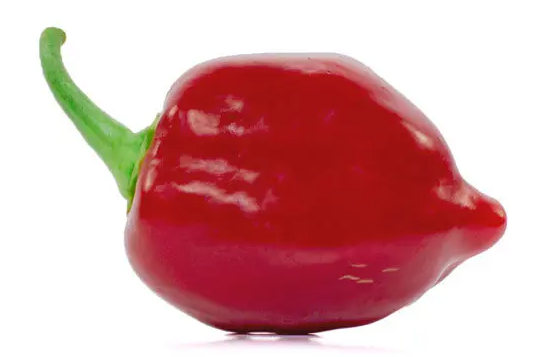 Top 10 World's Hottest Peppers [2020 Update] New Hottest Pepper