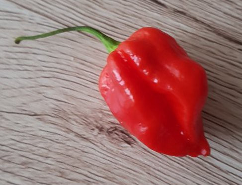 The 10 Hottest Peppers In The World